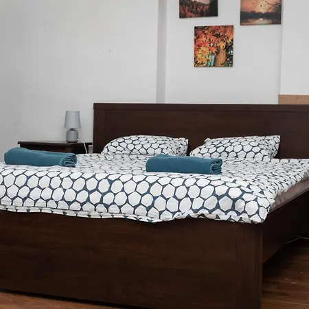 Central Place With Garden 1 * קלוז'-נאפוקה
