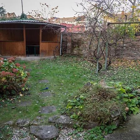 Central Place With Garden 1 דירה